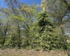 00 NW 8th Street, Linton, Indiana 47441,MLS,202502728
