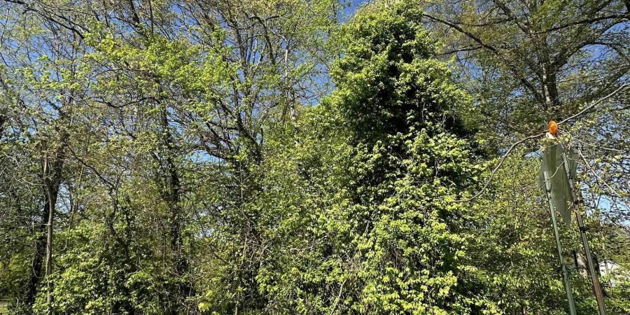 00 NW 8th Street, Linton, Indiana 47441,MLS,202502728