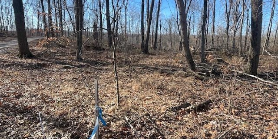 Tract 1 S Dry Branch Road, Springville, Indiana 47462,MLS,202505975
