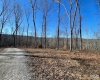 Tract 1 S Dry Branch Road, Springville, Indiana 47462,MLS,202505975