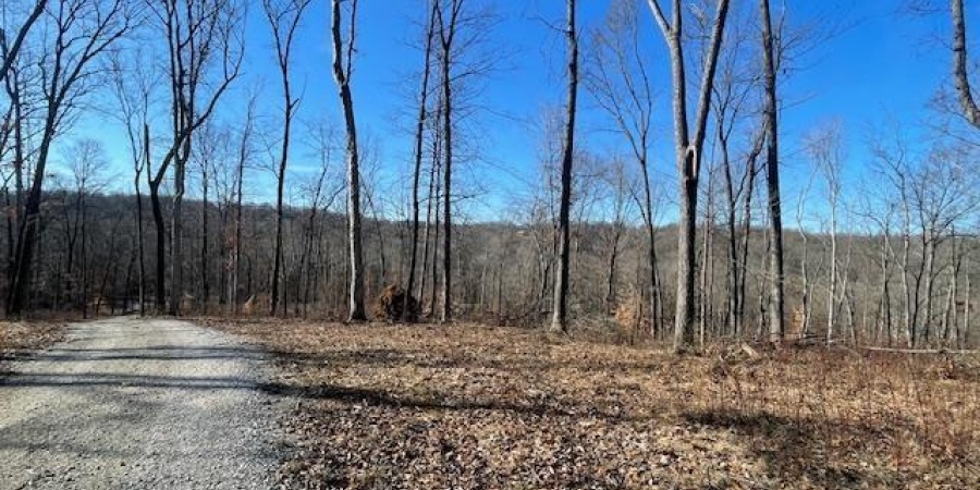 Tract 1 S Dry Branch Road, Springville, Indiana 47462,MLS,202505975