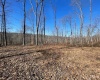 Tract 1 S Dry Branch Road, Springville, Indiana 47462,MLS,202505975