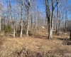 Tract 1 S Dry Branch Road, Springville, Indiana 47462,MLS,202505975