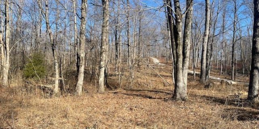 Tract 1 S Dry Branch Road, Springville, Indiana 47462,MLS,202505975