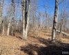 Tract 1 S Dry Branch Road, Springville, Indiana 47462,MLS,202505975