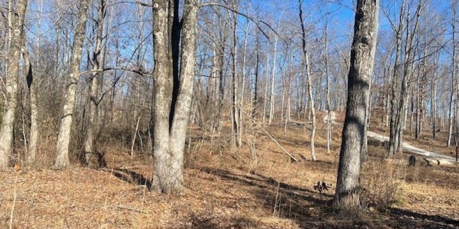 Tract 1 S Dry Branch Road, Springville, Indiana 47462,MLS,202505975