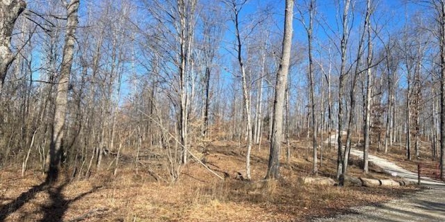 Tract 1 S Dry Branch Road, Springville, Indiana 47462,MLS,202505975