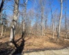Tract 1 S Dry Branch Road, Springville, Indiana 47462,MLS,202505975