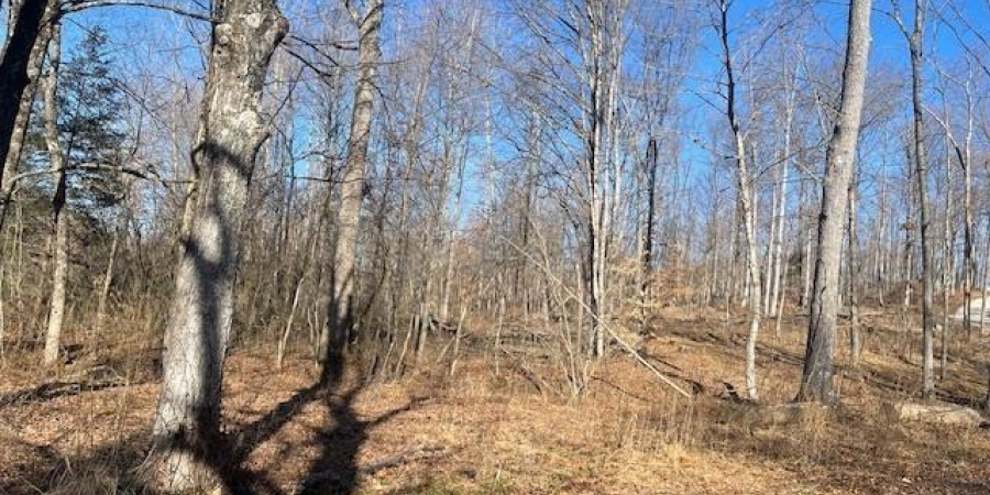 Tract 1 S Dry Branch Road, Springville, Indiana 47462,MLS,202505975