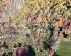 8619 N Fire Station Road, Bloomfield, Indiana 47424-4617,MLS,202505959