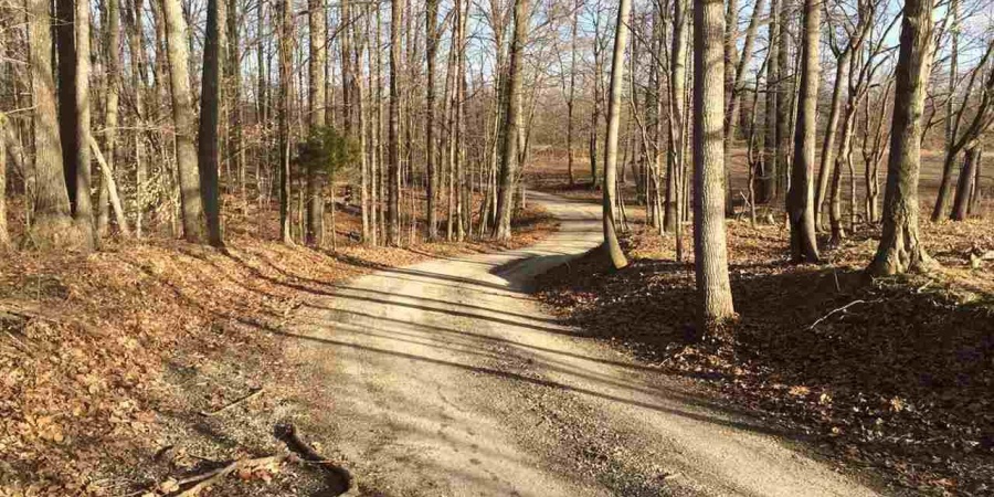 5267 E Prince Road, Heltonville, Indiana 47436,MLS,202508317