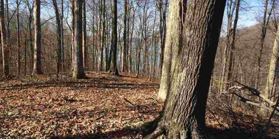 5267 E Prince Road, Heltonville, Indiana 47436,MLS,202508317