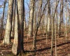 5267 E Prince Road, Heltonville, Indiana 47436,MLS,202508317