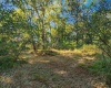 W 500 S Road, Linton, Indiana 47441,MLS,202510474