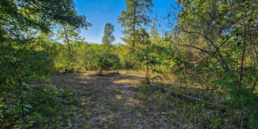 W 500 S Road, Linton, Indiana 47441,MLS,202510474