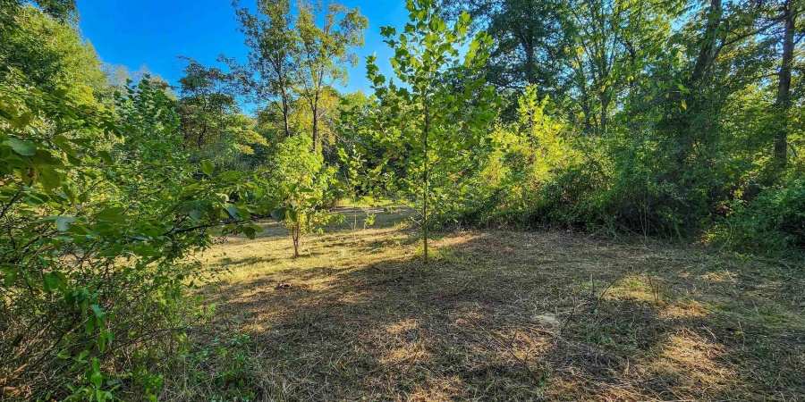 W 500 S Road, Linton, Indiana 47441,MLS,202510474