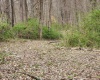 Goose Creek Road, Freedom, Indiana 47431,MLS,202510867