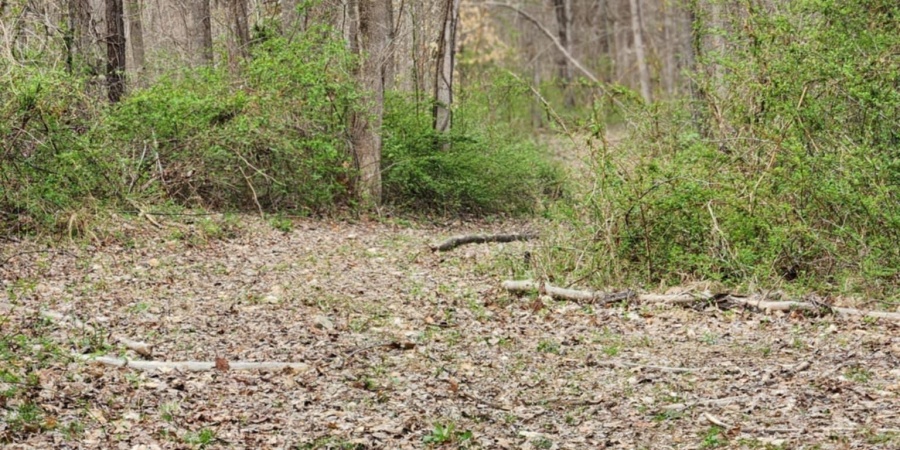 Goose Creek Road, Freedom, Indiana 47431,MLS,202510867
