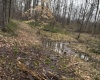 Goose Creek Road, Freedom, Indiana 47431,MLS,202510867