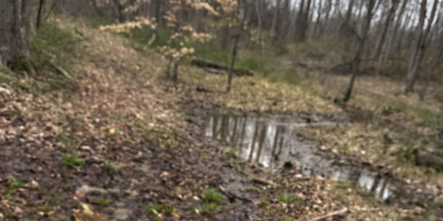 Goose Creek Road, Freedom, Indiana 47431,MLS,202510867