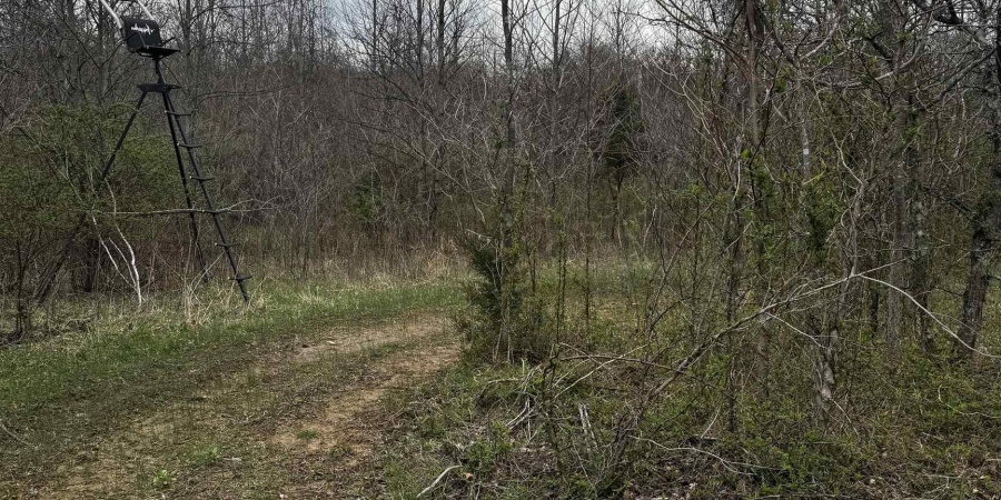 Goose Creek Road, Freedom, Indiana 47431,MLS,202510867