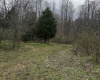 Goose Creek Road, Freedom, Indiana 47431,MLS,202510867