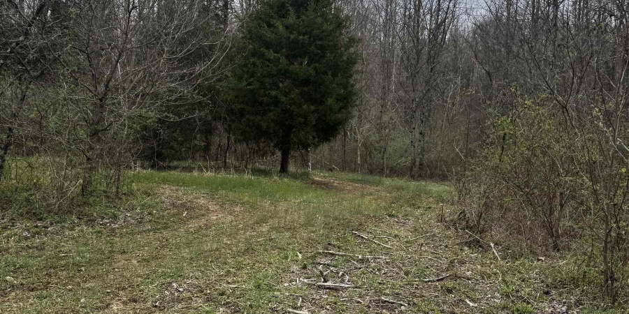 Goose Creek Road, Freedom, Indiana 47431,MLS,202510867