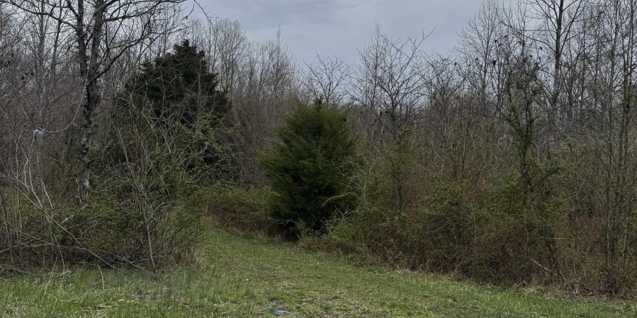 Goose Creek Road, Freedom, Indiana 47431,MLS,202510867