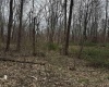 Goose Creek Road, Freedom, Indiana 47431,MLS,202510867