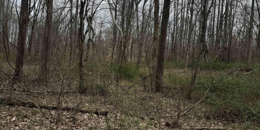 Goose Creek Road, Freedom, Indiana 47431,MLS,202510867