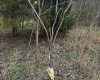 Goose Creek Road, Freedom, Indiana 47431,MLS,202510867