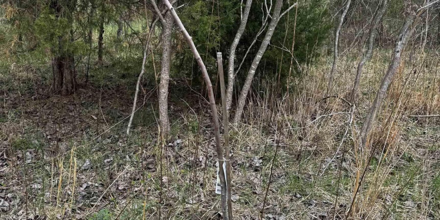 Goose Creek Road, Freedom, Indiana 47431,MLS,202510867