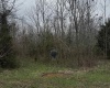 Goose Creek Road, Freedom, Indiana 47431,MLS,202510867