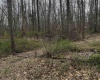 Goose Creek Road, Freedom, Indiana 47431,MLS,202510867
