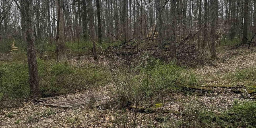 Goose Creek Road, Freedom, Indiana 47431,MLS,202510867