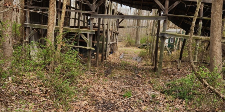 Goose Creek Road, Freedom, Indiana 47431,MLS,202510867