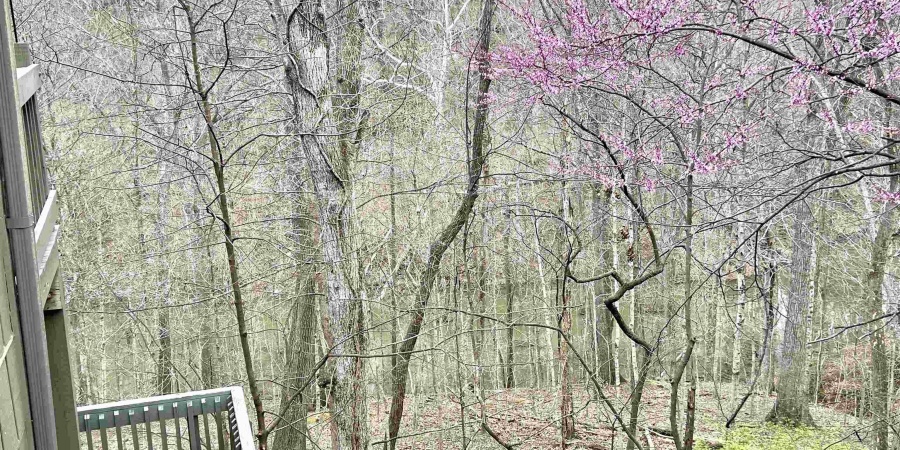 9322 S Lake Ridge Drive, Bloomington, Indiana 47401,MLS,202512139