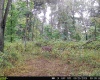 2 S Dry Branch Road, Springville, Indiana 47462,MLS,202241069