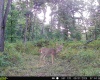 2 S Dry Branch Road, Springville, Indiana 47462,MLS,202241069