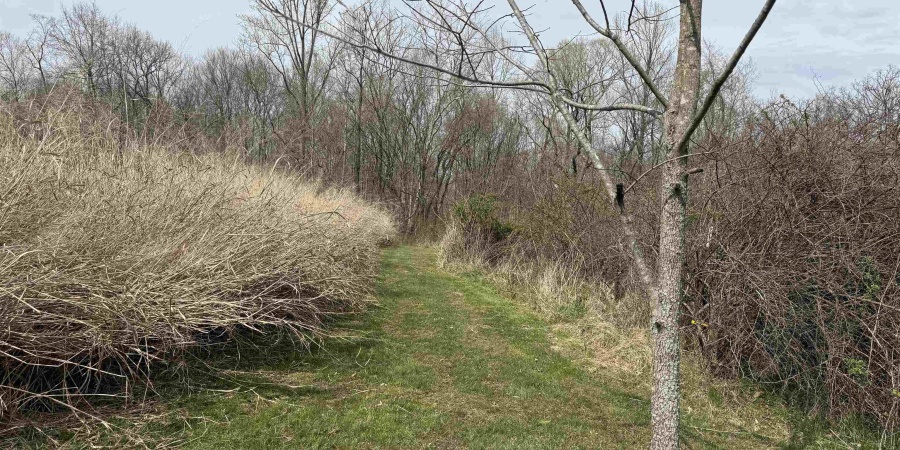 8797 E Willow Rd, Bloomfield, Indiana 47424,MLS,202513782