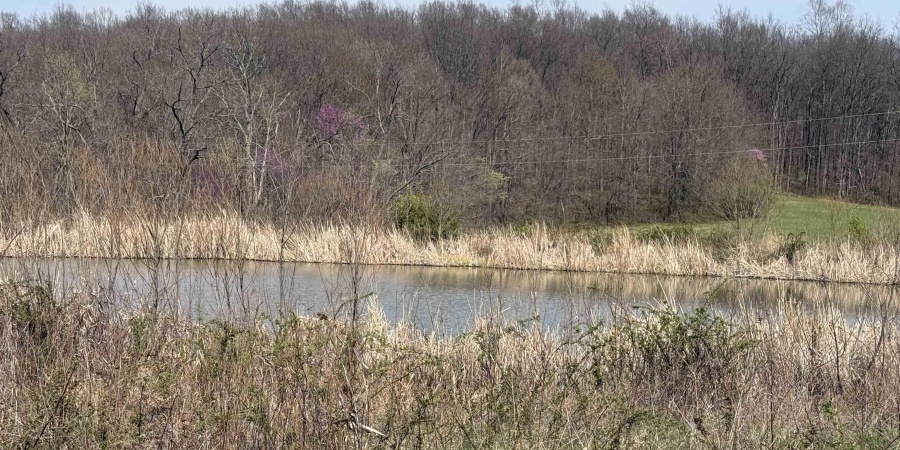 8797 E Willow Rd, Bloomfield, Indiana 47424,MLS,202513782