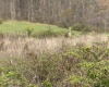 8797 E Willow Rd, Bloomfield, Indiana 47424,MLS,202513782