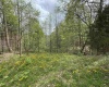 4638 VINEGAR HILL RD, Bedford, Indiana 47421,MLS,202513991