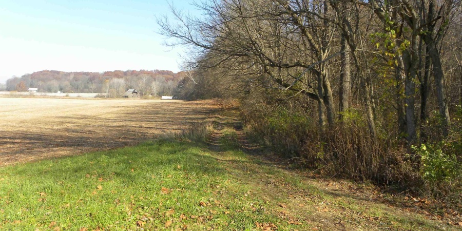 1650 E State Hwy 46 Highway, Spencer, Indiana 47460,MLS,202514140