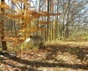 1650 E State Hwy 46 Highway, Spencer, Indiana 47460,MLS,202514140
