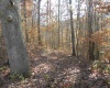 1650 E State Hwy 46 Highway, Spencer, Indiana 47460,MLS,202514140