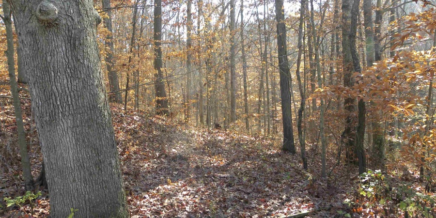 1650 E State Hwy 46 Highway, Spencer, Indiana 47460,MLS,202514140