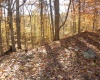 1650 E State Hwy 46 Highway, Spencer, Indiana 47460,MLS,202514140