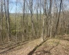 Lower Schooner Road, Nashville, Indiana 47448,MLS,202514263