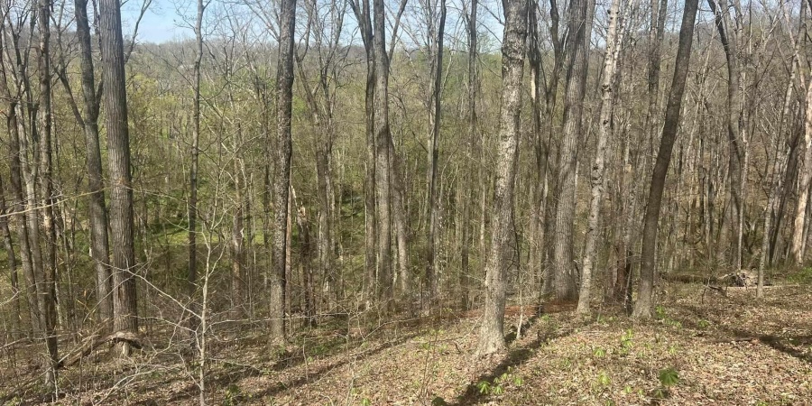 Lower Schooner Road, Nashville, Indiana 47448,MLS,202514263